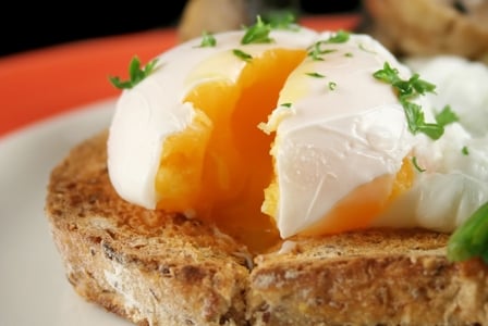 Egg-celerate Your Day!
