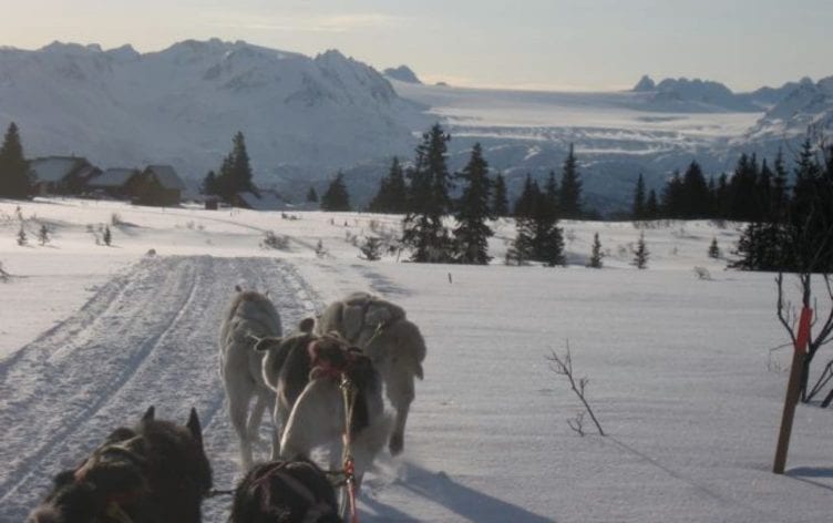 Libby Riddles on the What it Takes to Win the Iditarod