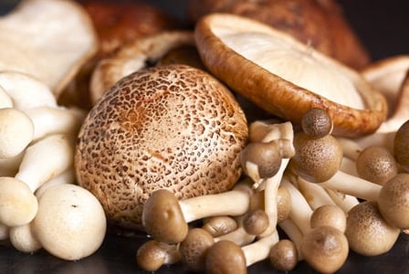 Meatless Monday: Mushrooms

